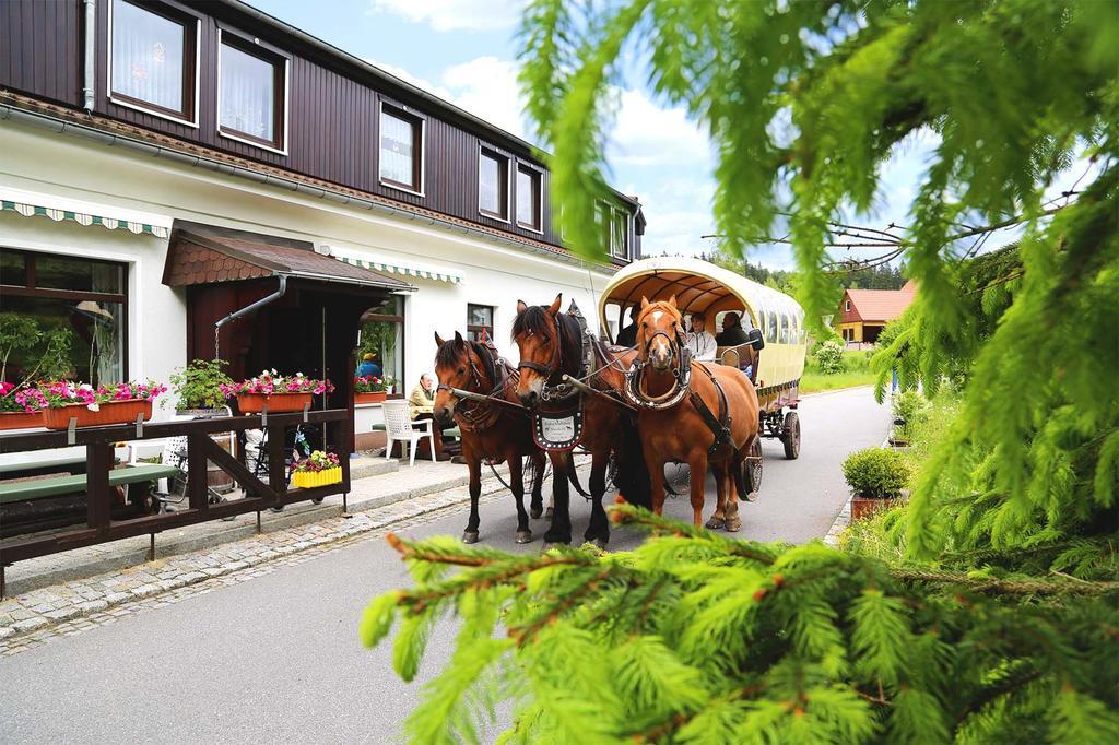 Gaststaette & Pension Waldquell Antonshohe Exterior photo